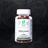 Kisten Herbals Shilajit Gummies, 60 gummies