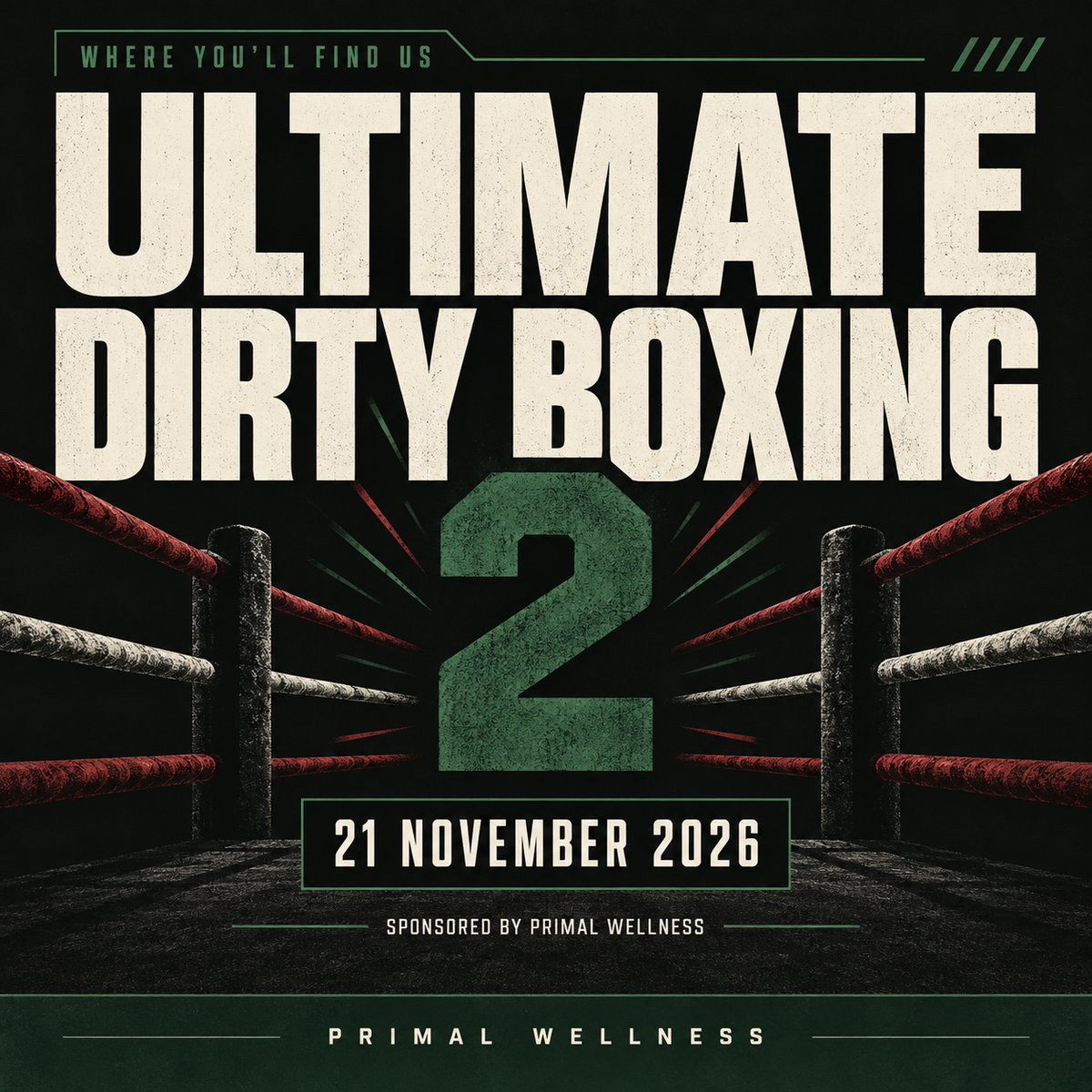 Ultimate Dirty Boxing 2